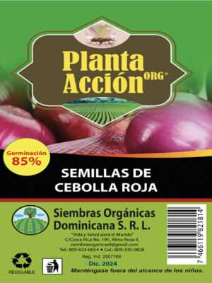 Semillas De Cebolla Roja