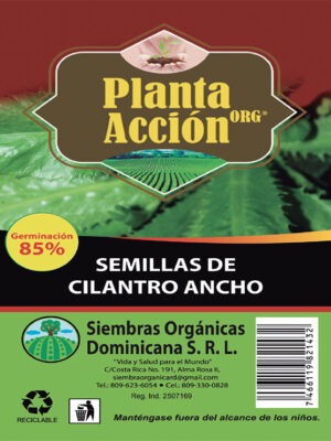 Semillas De Cilantro Ancho