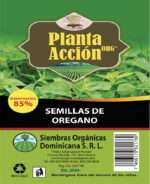 Semillas De Oregano