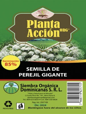 Semillas de Perejil Gigante