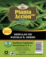 Semillas De Rucola R. Green