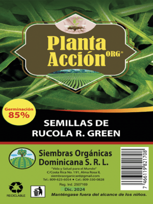 Semillas De Rucola R. Green