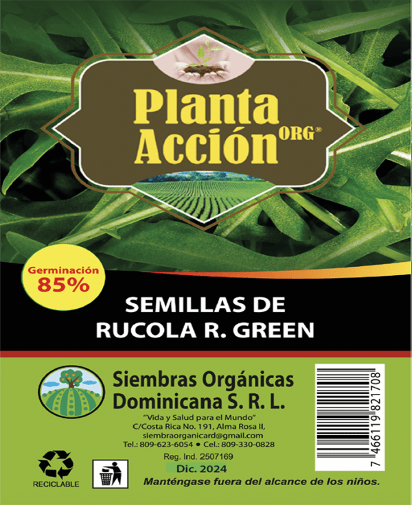 Semillas De Rucola R. Green