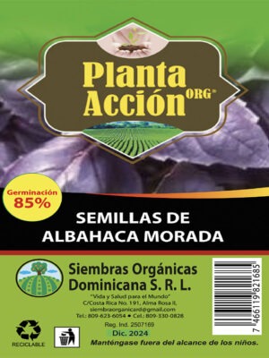 Semillas De Albahaca Morada