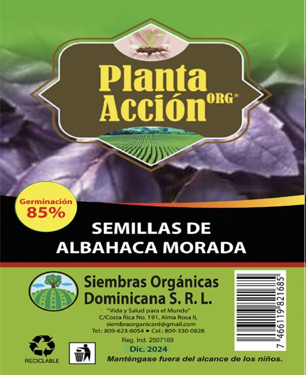 Semillas De Albahaca Morada