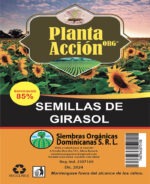 Semillas De Girasol