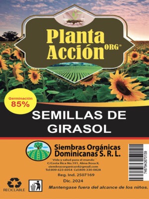 Semillas De Girasol