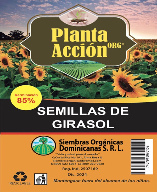 Semillas De Girasol